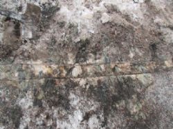 Sample assaying 3.55% Li2O in drill target zone from CH16-03