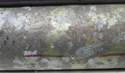 Mutooroo Massive Sulphide Ore