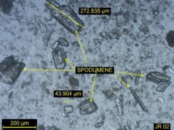 Images of course Spodumene partials from thin section sample M221 JR002 -500