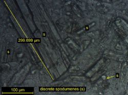 Images of course Spodumene partials from thin section sample M221 JR002 -500