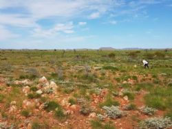 Zones of outcropping pegmatite in the new eastern zone
