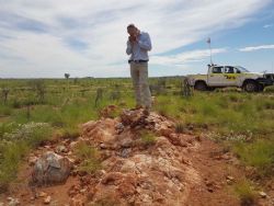 Zones of outcropping pegmatite in the new eastern zone