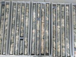 High-grade coarse grained spodumene (green) in drill core (FRDD01) from Grants.