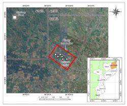 Map indicating focus area on newly acquired Licence 8245L & artisanal mining locations within the focus area