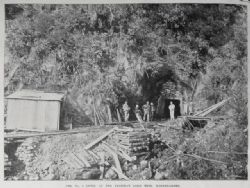 Portal entrance circa 1900’s
