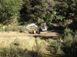 Noxious weed clearance 6th June