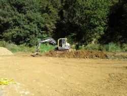Noxious weed clearance as at 7th June