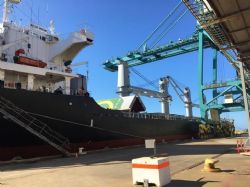 The MV Belle Ocean At Esperance Port