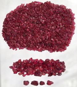 High Quality Rubies from initial processing of 5,692m3 gravels from LM01 discovery incl. Special/Premium stones