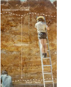 Mapping phosphorite section at Ardmore in excavation AE4.