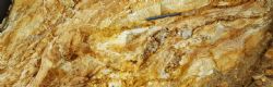 Gold-bearing quartz-limonite veined stockwork in medium grade saprolite ore