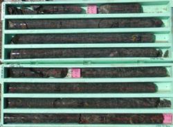 WOMDD001 core 70‐77m downhole. Fresh, impermeable metasediment