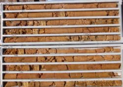 WOMDD001 core 253‐267m downhole. Porous, permeable, mineralised material.