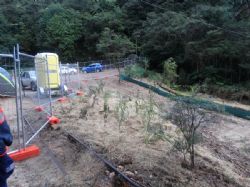 Silt Dam and Native plant nursery