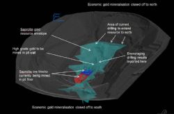 Oblique laser scan view of the Portia open pit (grey) looking north and showing the remaining saprolite gold resource in the pit floor as defined by drilling and trenching (lighter blue) and the recently mined ore blocks (red and dark blue)