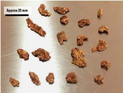 Gold nuggets recovered from the area south of the ‘Royal Harry’ workings.