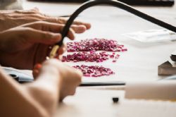 Buyer inspecting rubies at Mustang’s inaugural rough ruby tender