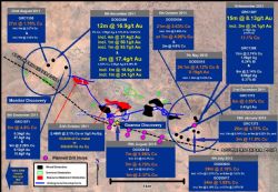 Gecko-Goanna-Monitor discoveries at Tennant Creek in the NT
