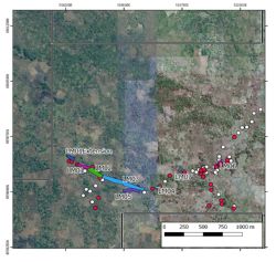 Mustang’s ruby project area with pitting and sampling localities indicated.