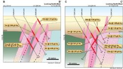 Cross-sections B-B' (left) and C-C' (right) through the Emu deposit