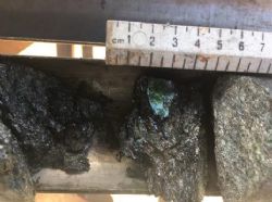 Large flakes intersected in MOD042 & Large roscoelite flake intersected at MOD045