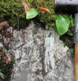 Spodumene crystals at the Viau Dallaire pegmatite