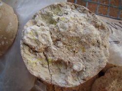 Example of carnotite in sonic drill core from Napperby