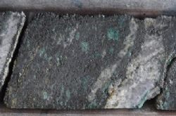 Halved core showing graphitic schist with distinct roscoelite