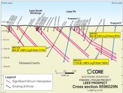 Recent RC drill intersections at Lees Prospect in section.