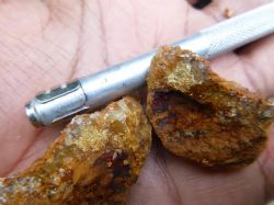 Fine gold in quartz 478354.6mE, 8818842.4mN, GDA94 zone 56.