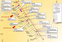 Plan view of the Golden Age Fault Lode