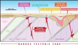 Conceptual depiction of mineralisation styles at Goongarrie.