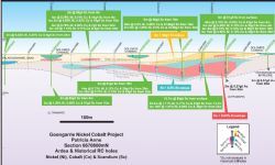 Cross section from Patricia Anne Section 667 0800 mN, at Goongarrie, looking northward.