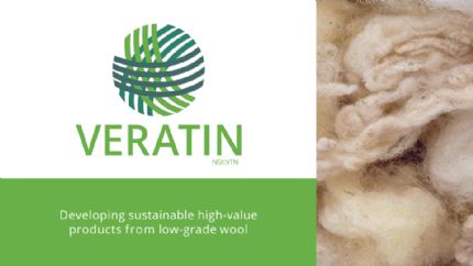 Download Presentation