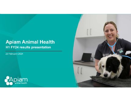 Download Presentation