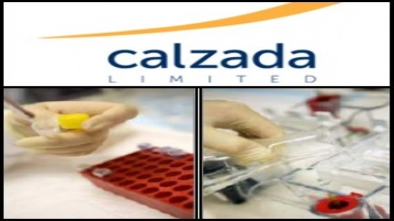 Relatório do Mercado Australiano de 10 de Fevereiro de 2011: Calzada (ASX:CZD) Anuncia Resultados Positivos em Estudo das Células-Tronco Humanas para o Crescimento Ósseo