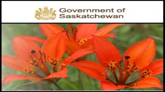 视频：萨斯喀彻温省政府中国部负责人William Wang在2010中国矿业大会上的采访