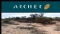 Archer Exploration Limited (ASX:AXE)收到EL3711最新锰矿钻探结果