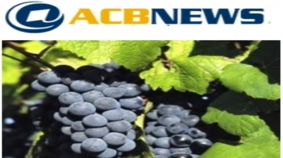 ASF澳中财富昆州煤炭项目资源量超6亿吨