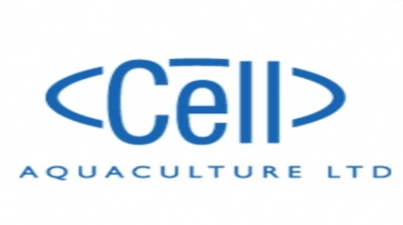 澳洲Cell弃购柬埔寨赌场 海南项目方案生变 