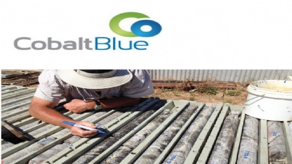 预可行性研究完成情况更新