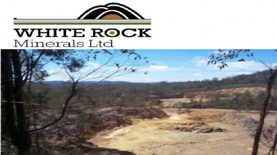 完成配股及配股缺额