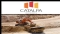 2010年11月23日澳洲股市：Catalpa Resources (ASX:CAH)宣布Edna May金礦項目的高品位初始推斷礦產資源量