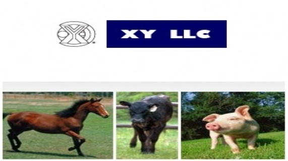 針對前技術執照持有者，XY LLC 獲判850萬美元賠償