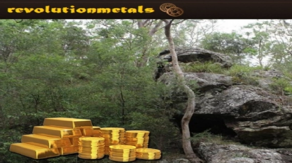 Revolution Metals Ltd 董事會增加採礦和財務專業人士