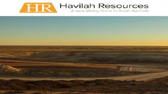 掛牌期權執行結果