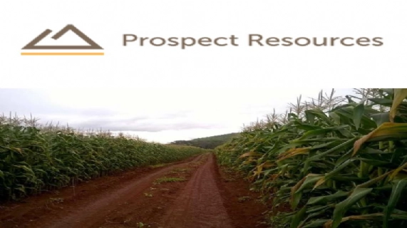 Prospect Resources 指定DRA參建阿卡迪亞鋰礦項目