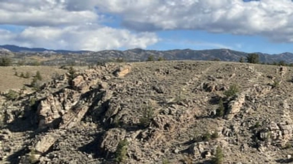 與金建橋簽署融資及承購諒解備忘錄