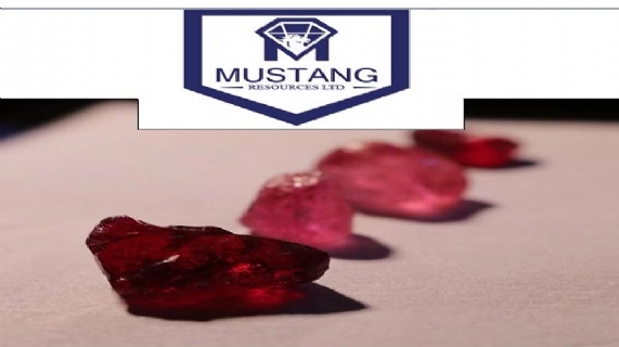 Mustang bereitet sich auf schnellen Wachstum vor