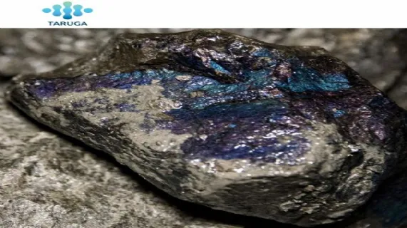 Appointment of CEO and New Project Acquisition 